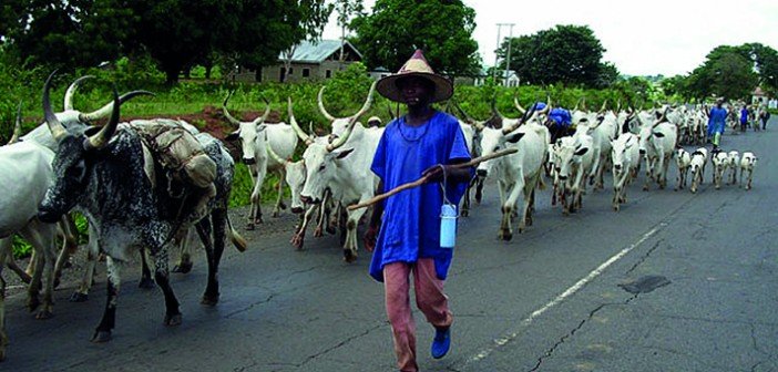 Open Grazing not Sustainable, say Northern Governors