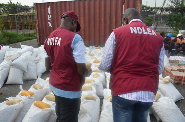 NDLEA cautions against drug abuse, vows to track down offenders