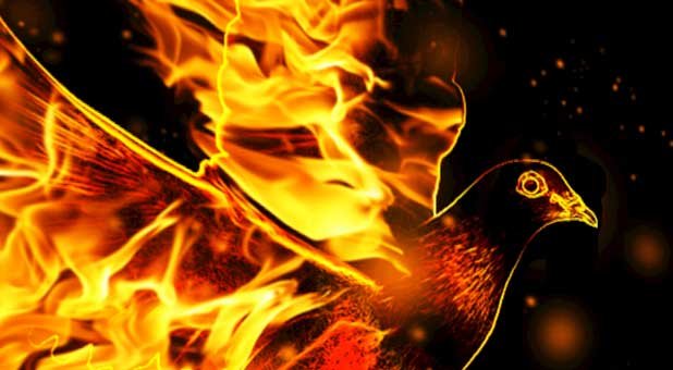 The Beauty of A Burning Fire: How The Holy Spirit Can Impact Our World
