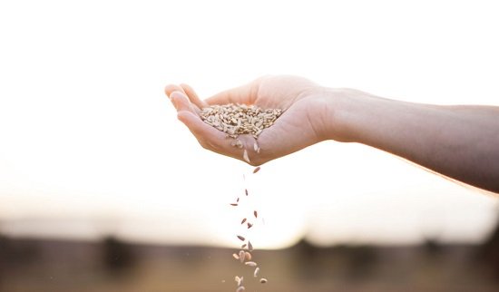 Reaping The Supernatural Pt 1: The Order of Giving In 2019