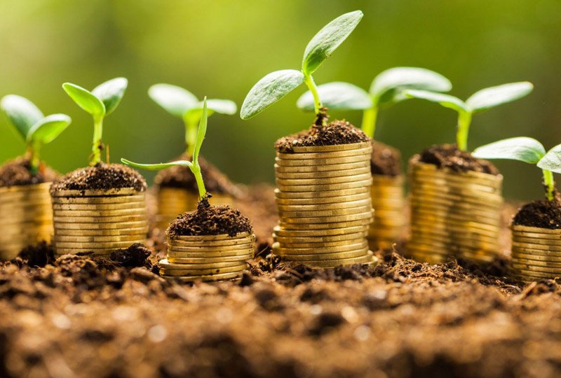 The Secret To Kingdom Wealth And Increase: A Step By Step Guide To Making More From Your Possession