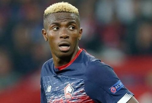 Osimhen’s €70million deal with Napoli, a good advertisement for Nigeria, says Adelabu
