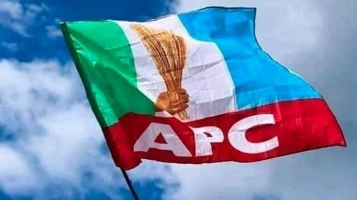 Nullify Benue APC governorship primary – Party members tell court