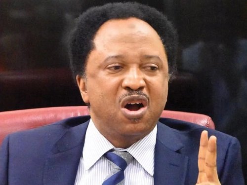 2023: Some PDP govs working for Peter Obi, Tinubu: APC govs for Atiku – Shehu Sani