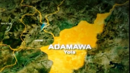 Flood claims 5 lives in Adamawa