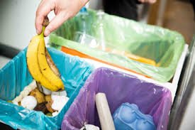 Top 10 Rules for Waste Disposal