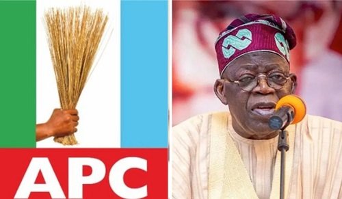 APC Admits Tinubu's Bold Policies Amplify Economic Hardship – Felix Morka Speaks Out