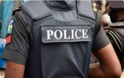 Ondo poll: Police arrest two with illegal APC membership register