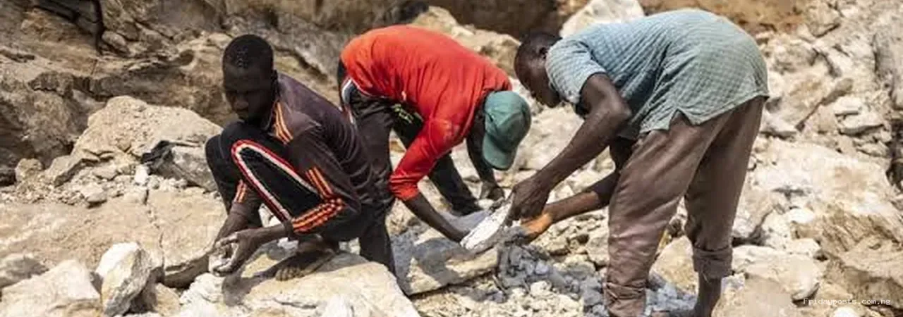 37 Mining Suspects Died in Custody. What Really Happened in Niger State?