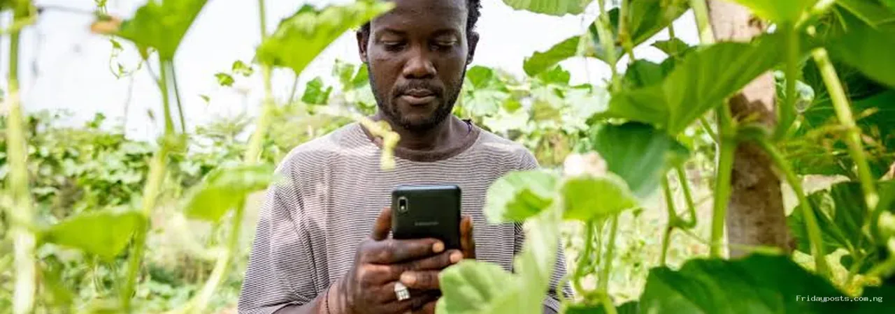 Can a Farmer With a Smartphone Replace an Agricultural Extension Officer?