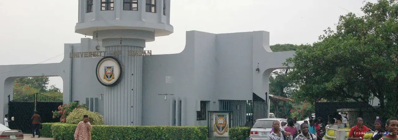 Nigeria Has Hundreds of Universities. Where Are the Companies Built From Their Research?
